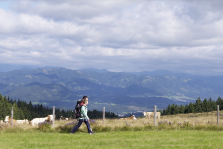 Bildschirmfoto 2026-02-25 um 12.31.05.png