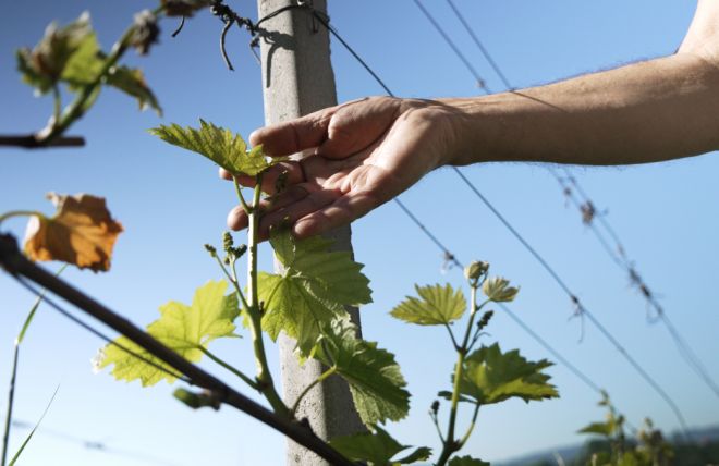 Die Südsteiermark im Jahresverlauf